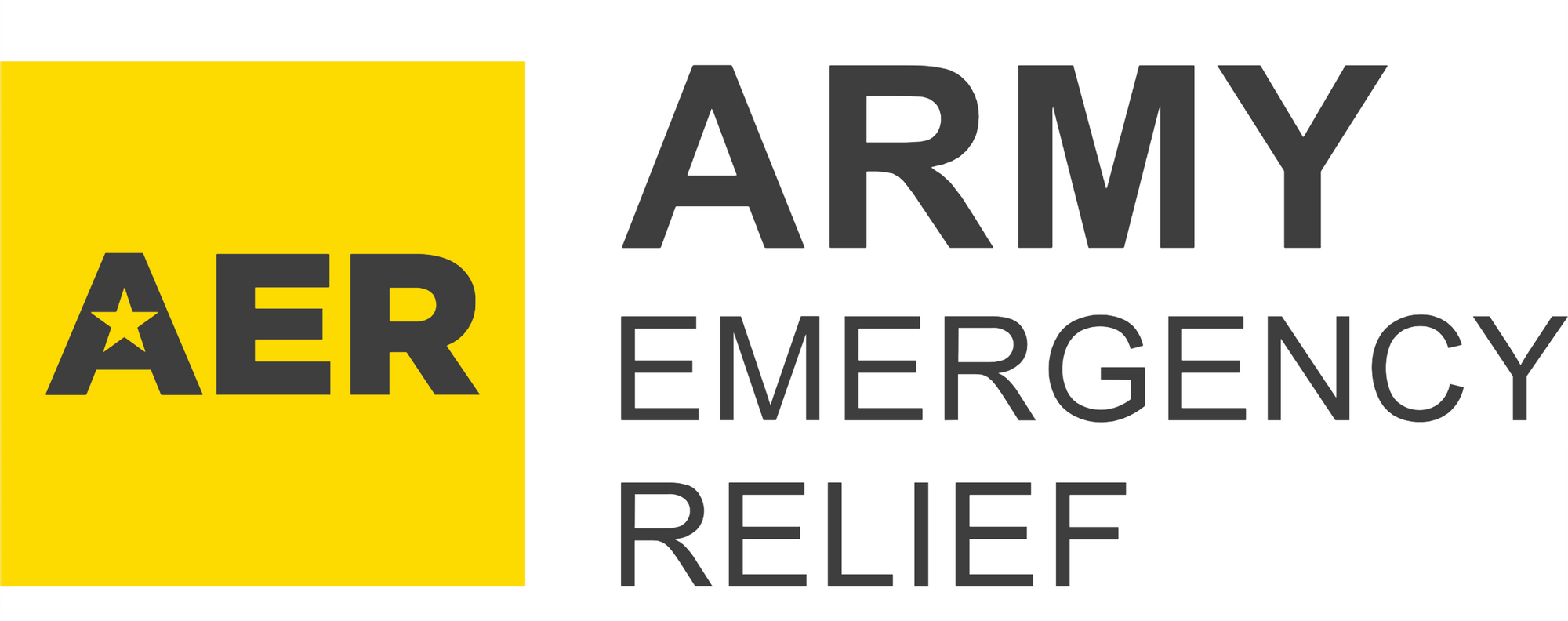 Army Emergency Relief Fund Receives 2nd Donation From Run Fierce Community!💪